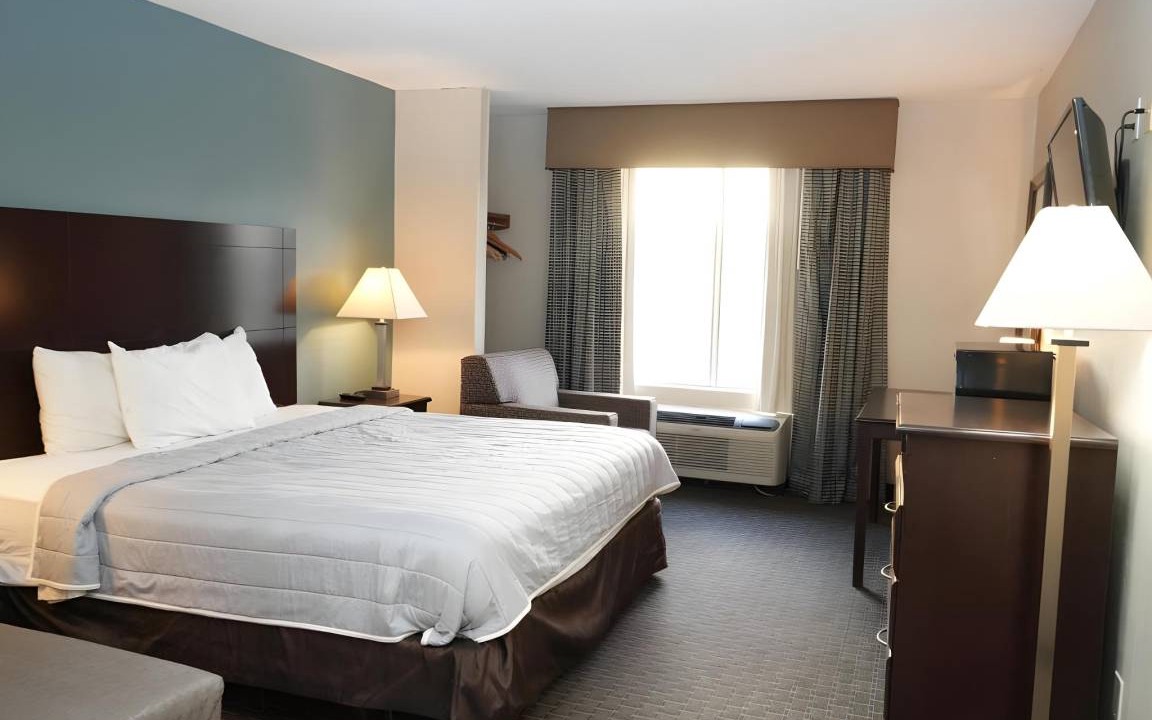 Montrose Hotel | 17 m² Hotel ∙ 8 guests