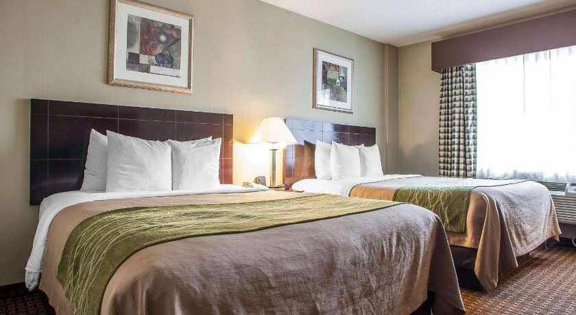 Point Pleasant - Toms River Hotel | 33 m² Hotel ∙ 6 guests