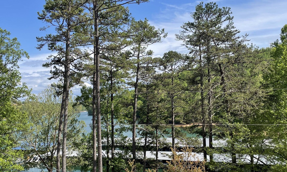 La Follette House | 5 Bedroom Norris Lake Home with Covered Boat Slip at Sugar Hollow Marina