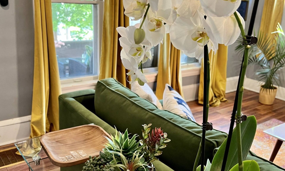 West Akron Apartment | Apartment with a boho, relaxed and soulful vibe in the heart of Highland Square.