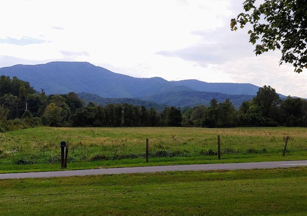 Luray House | B And A Lake Cottage
