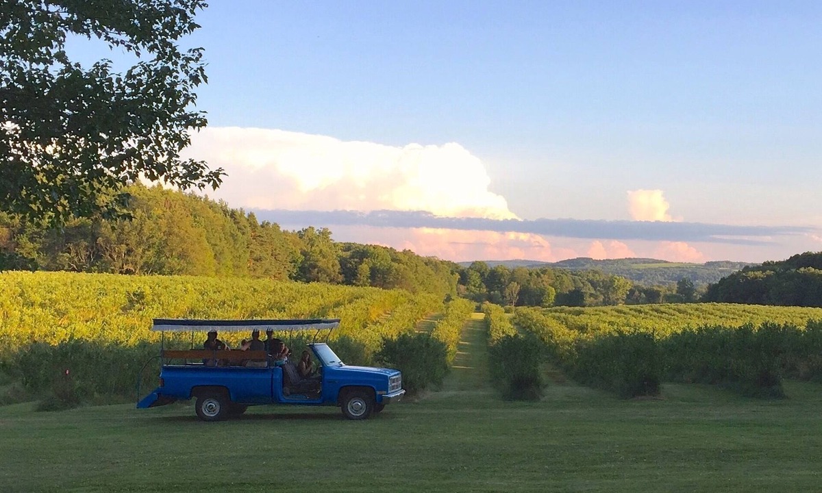 Collins Center House | Burdick Blueberry Farm Guest House