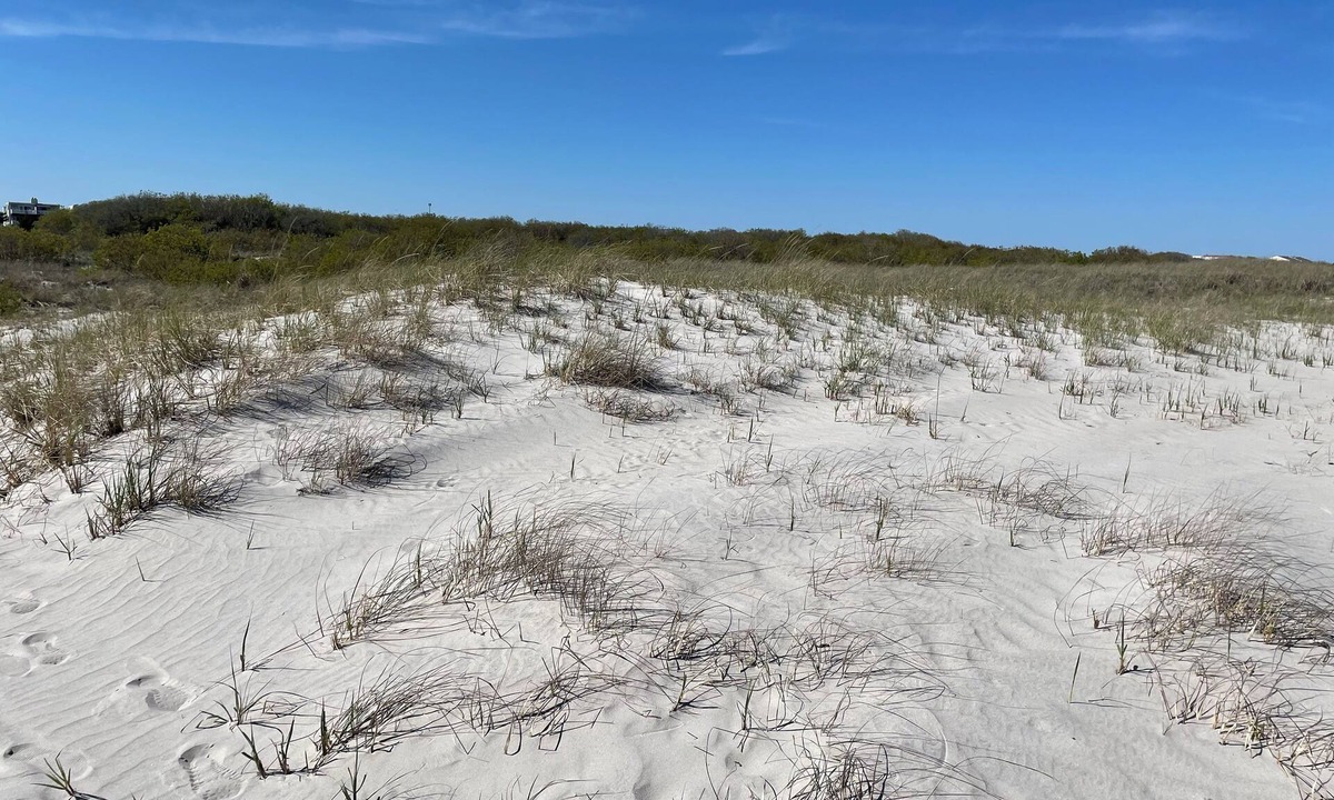 Southend Condo | Coastal Charm Meets Cozy Comfort - 1BR Beachside Beauty!