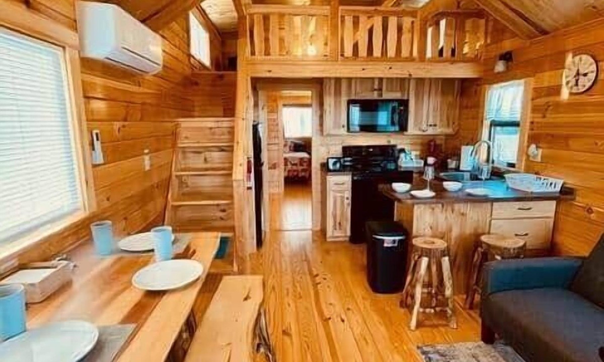 Hector Cabin | Cozy Cabin on Seneca Wine Trail Vineyard View 1