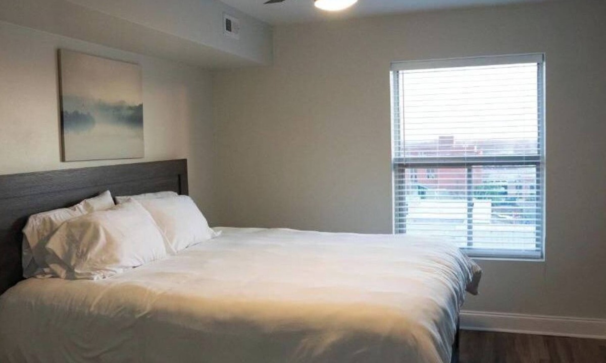 Medical District Apartment | Cozy Downtown Luxury High-Rise Luxury: Sleeps 4