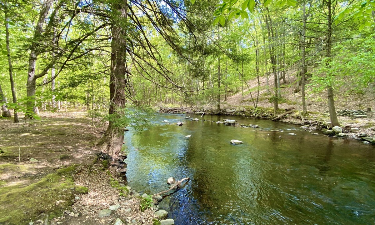 Bushkill House | Cozy Forest Creekside Home: jacuzzi, fireplace, firepit+