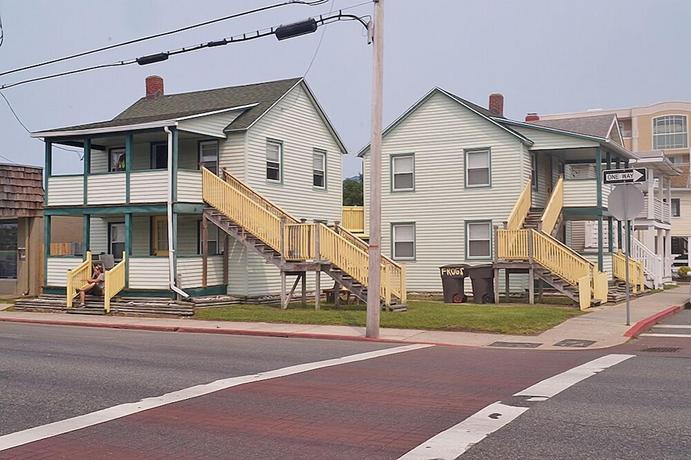 Frogs | Ocean City