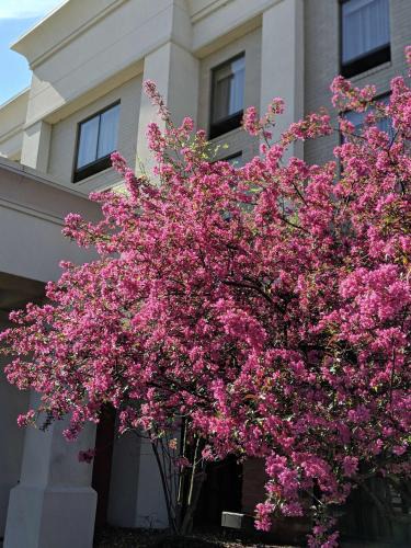 Hampton Inn Suites Centre | West Chester