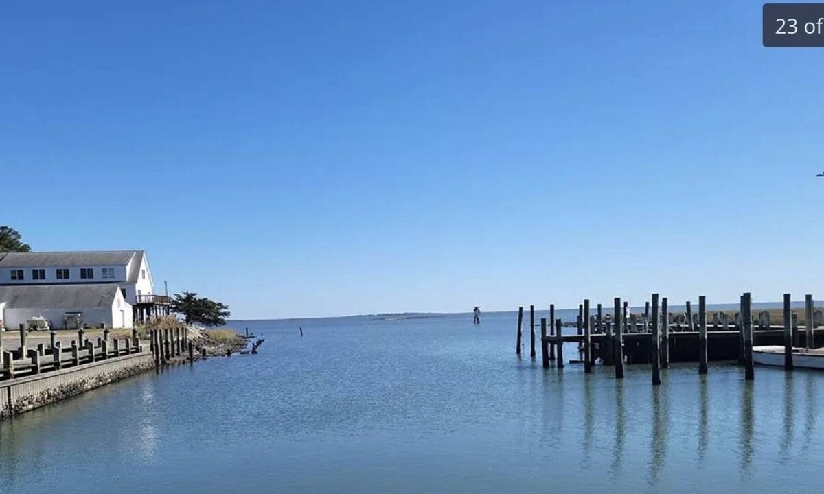 Quinby Cottage | Harbor House Cottage, steps from water’s edge with views of Barrier Islands