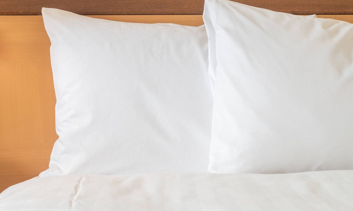 Berea Hotel | Holiday Inn Express Berea by IHG
