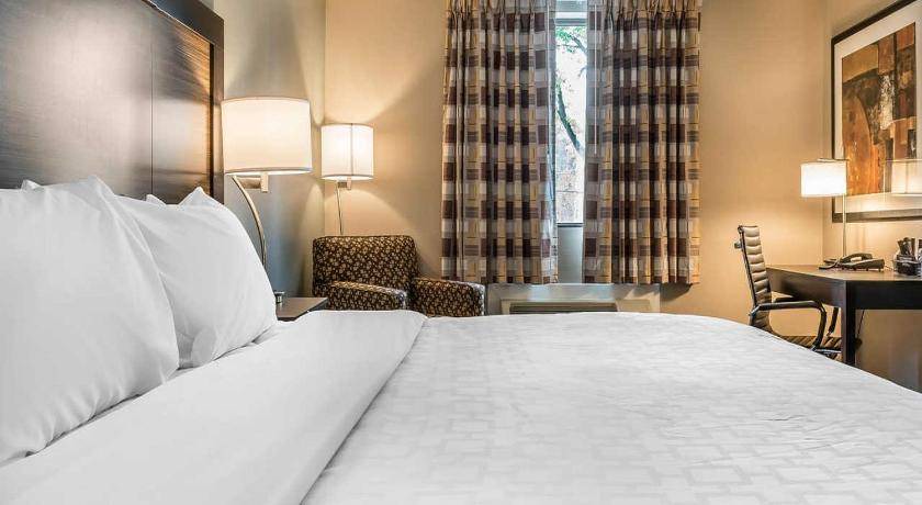 Rostraver Hotel | Hotel ∙ 127 guests