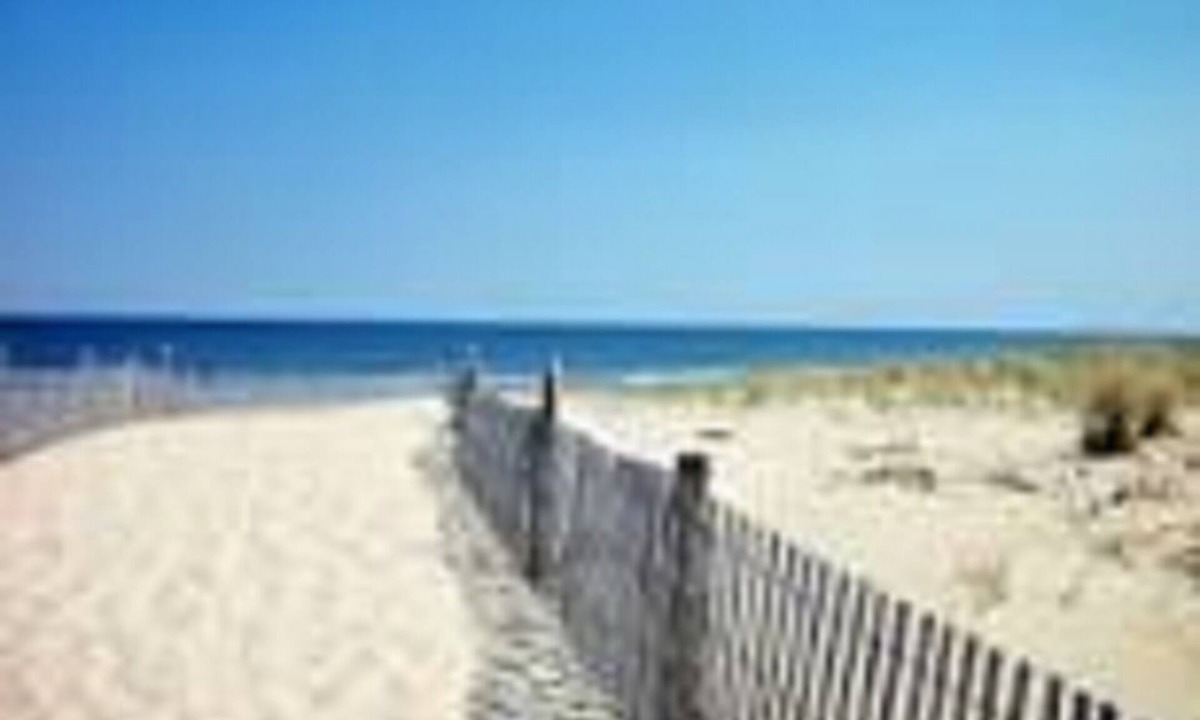 Fenwick Island House | Ocean View and only steps to the sand !
