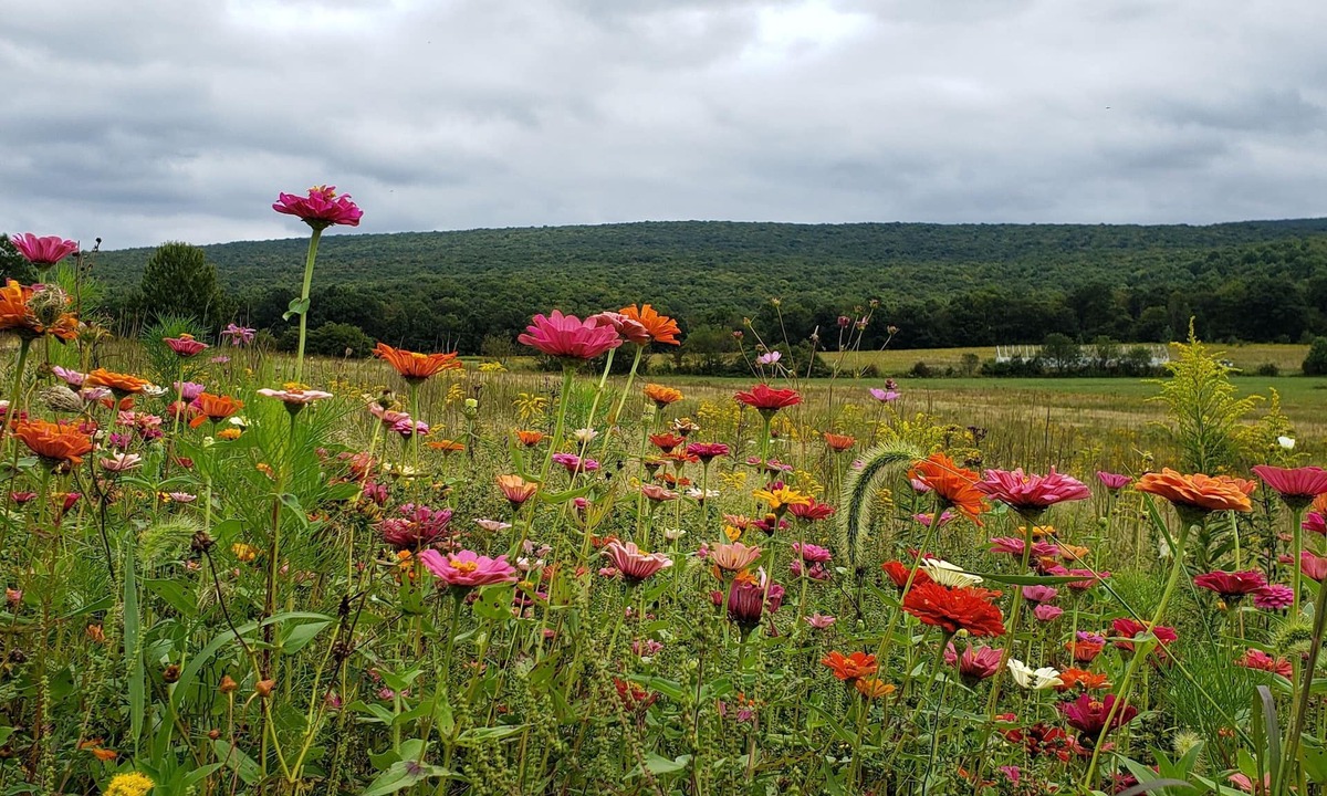 Jones Mills Cabin | One of a kind, private, beautiful rustic cabin in the Laurel Highlands