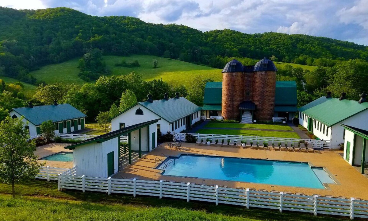 Hot Springs House | Partial Proceeds to Make A Wish Foundation and Non-Profit Wildlife Rescue Group