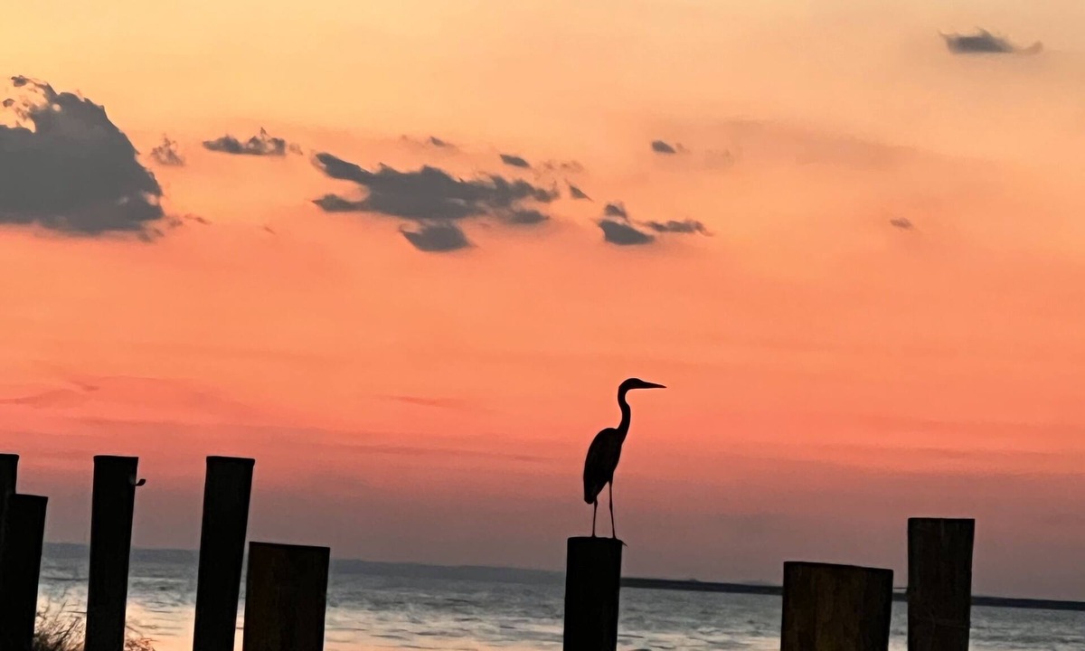 Tilghman Cottage | "Point of View" Waterfront cottage with panoramic views on Tilghman Island
