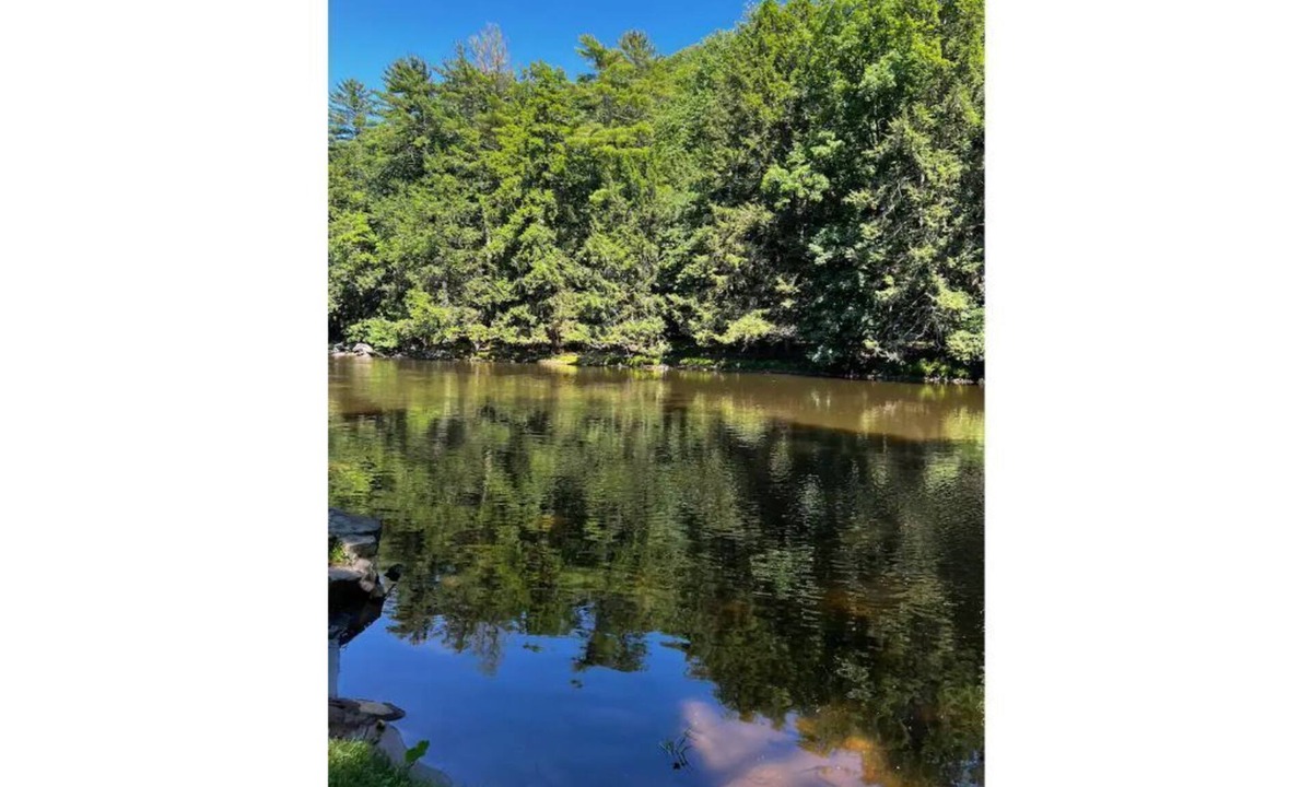 Cuddebackville House | ⭐️Pristine river front property, swim, kayak + fish. ⭐️ 90 mins away from NYC