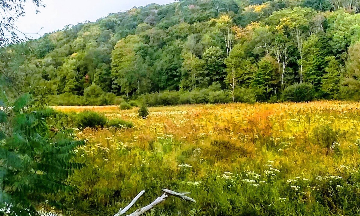 Conewango Valley RV Rental | ShineOn Valley- Back Bottom Camp