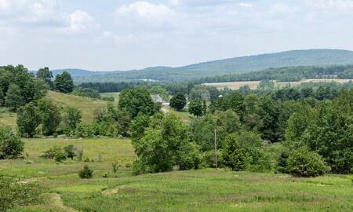 Arnot Cabin | Studio w/A/C + Gorgeous Views | Private Entry