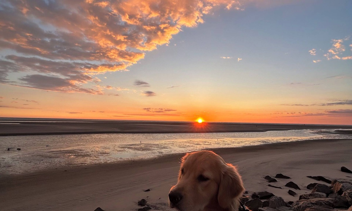 North Wildwood Condo | Sunrise Views Every Morning! 2 Bedroom 2 Bath