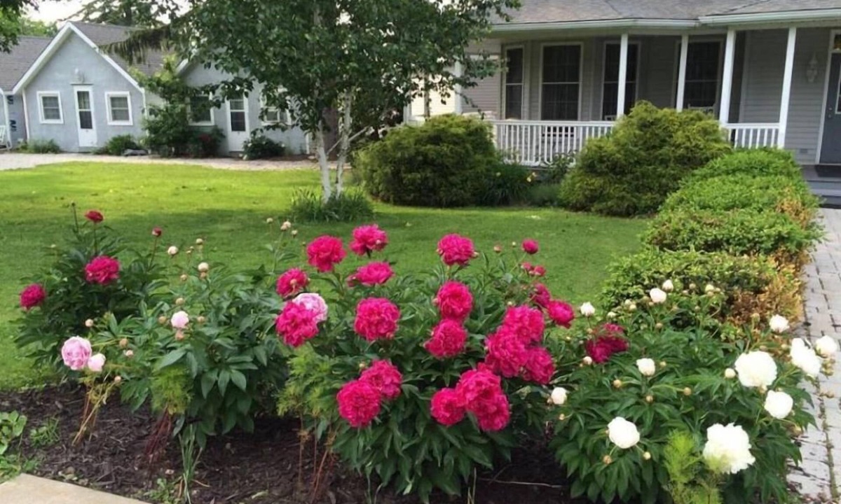 Laporte House | The Pavilion at the Park