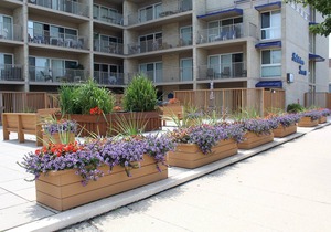 2 Bedrooms & 1 Bath in Rehoboth Beach, DE Ocean Block