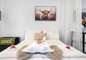 35 m² Apartment ∙ 1 bedroom ∙ 2 guests