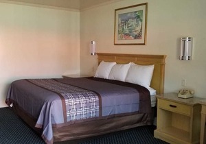Budget Lodge