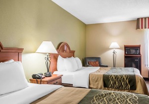 Comfort Inn Pine Grove