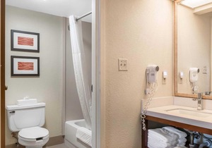 Comfort Inn Pine Grove