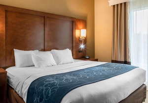 Comfort Suites Scranton