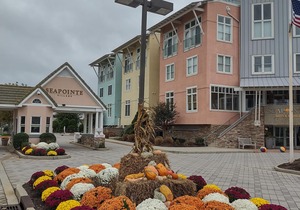 DIAMOND BEACH-ISLAND RESORT ATMOSPHERE-WILDWOOD CREST/CAPE MAY AREA.