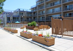 Efficiency with tropical coastal decor!
