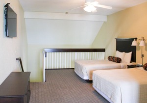Get Closer to Nature at the Iroquois Suites with Breathtaking Views 214