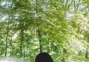 Glamplyfe Nature Experience: A-Frames on Lakefront L14