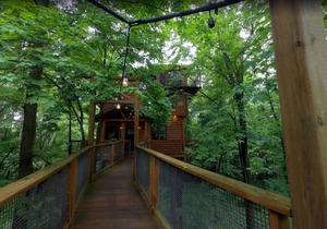 Incredible Treehouse with Breathtaking Views - Sleeps up to 6