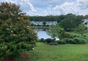 Lake views & pool access! Bike or walk to beach, town & trails-2 Bedroom/Sleep 6