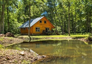 Lyndhurst Cabin on Farm with Pond and Stocked Stream!