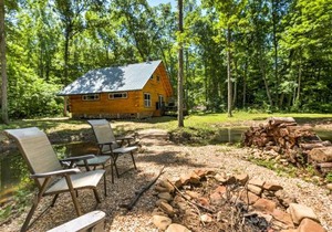 Lyndhurst Cabin on Farm with Pond and Stocked Stream!
