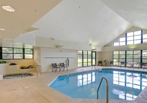 Mountain Getaway! 2 Spacious Units in Nature Setting, Near Little Pigeon River