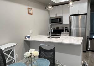 New modern 2-bedroom apartment in Brewerytown
