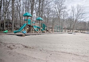 Pocono Log Cabin Fireplace, Fire Pits and Amenities