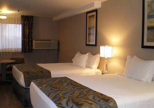 Relax & Unwind! 2 Spacious Units, Near Morrison Center for the Performing Arts!