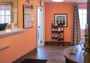 Sonesta Simply Suites Pittsburgh Airport
