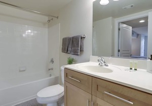 Spectacular 1BR Condo Located At Pentagon City