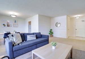 Stylish DC Area Apartment