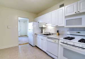 Stylish DC Area Apartment