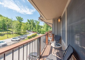 Suites at Silver Tree: A308 Studio & Loft Standard View