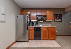 Suites at Silver Tree: A311 One Bedroom & Loft Lake View