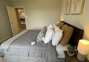 Trendy and Adaptable Accommodation in Crystal City