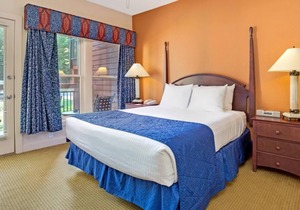 Ultimate Escape! 2 Amazing Units in Nature Setting, Near Little Pigeon River